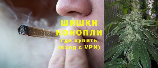 ПСИЛОЦИБИНОВЫЕ ГРИБЫ Вязники