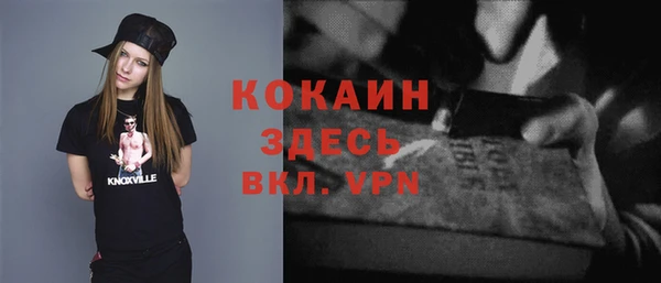 тгк Вяземский