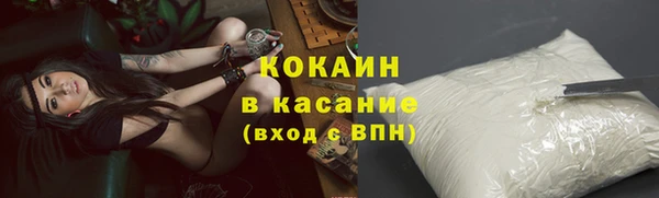 ПСИЛОЦИБИНОВЫЕ ГРИБЫ Вязники