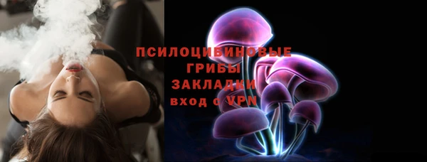 ПСИЛОЦИБИНОВЫЕ ГРИБЫ Вязники