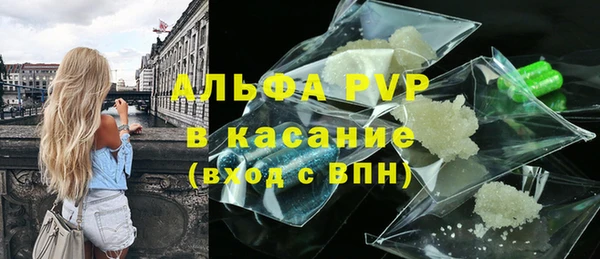ПСИЛОЦИБИНОВЫЕ ГРИБЫ Вязники