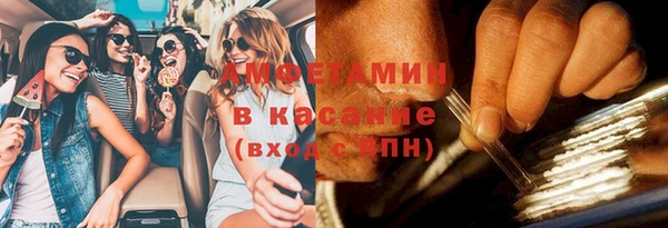 ПСИЛОЦИБИНОВЫЕ ГРИБЫ Вязники