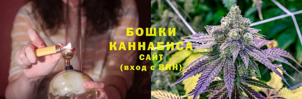 тгк Вяземский