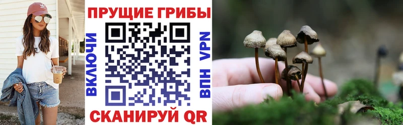 Псилоцибиновые грибы Magic Shrooms  Купить  Магас 