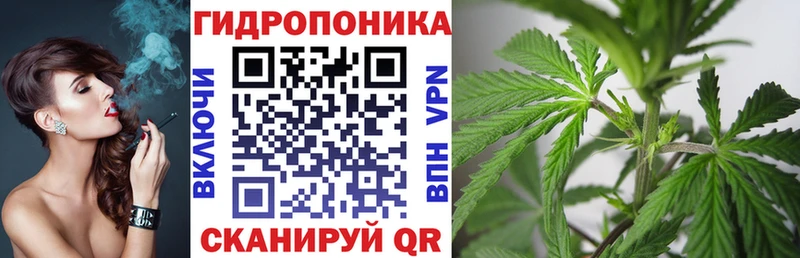 Канабис конопля  Купить где  Магас 